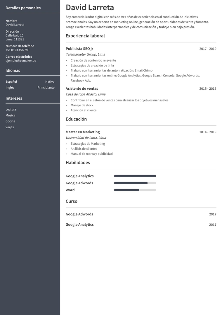 CV de marketing